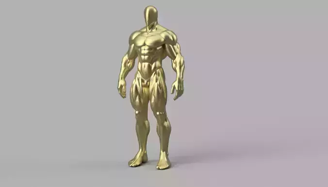 Muscular male  Figure