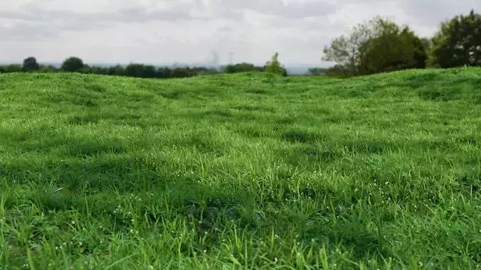 Realistic Grass and Clover 3D model