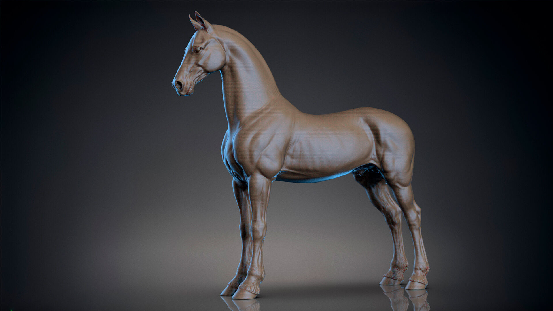 Horse Friesian - TPose 3D model_4