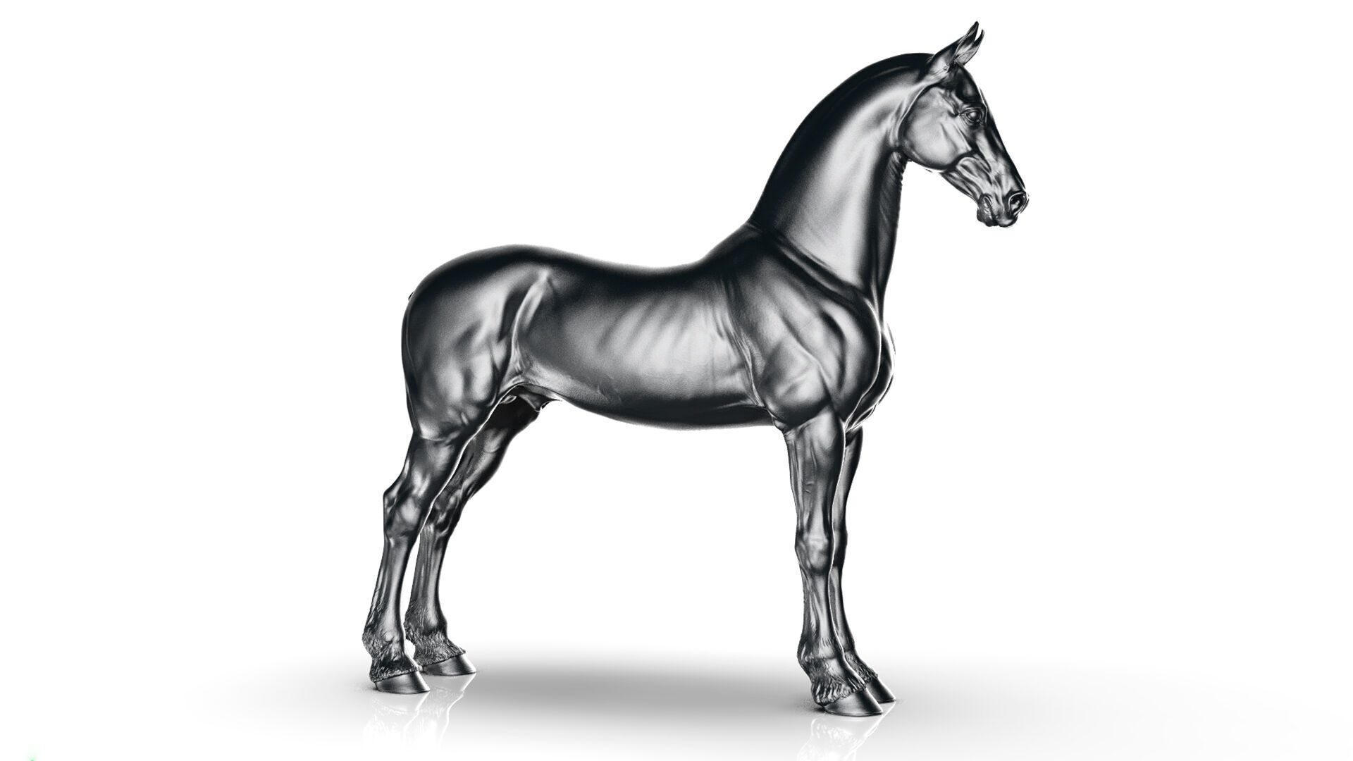 Horse Friesian - TPose 3D model_9