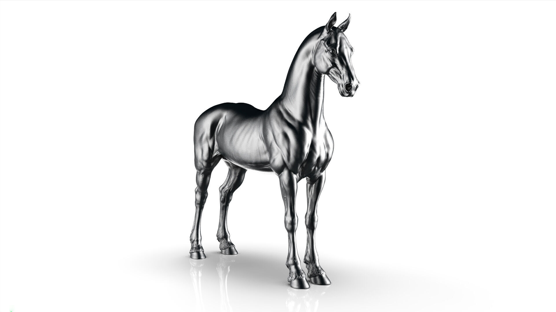 Horse Friesian - TPose 3D model_7