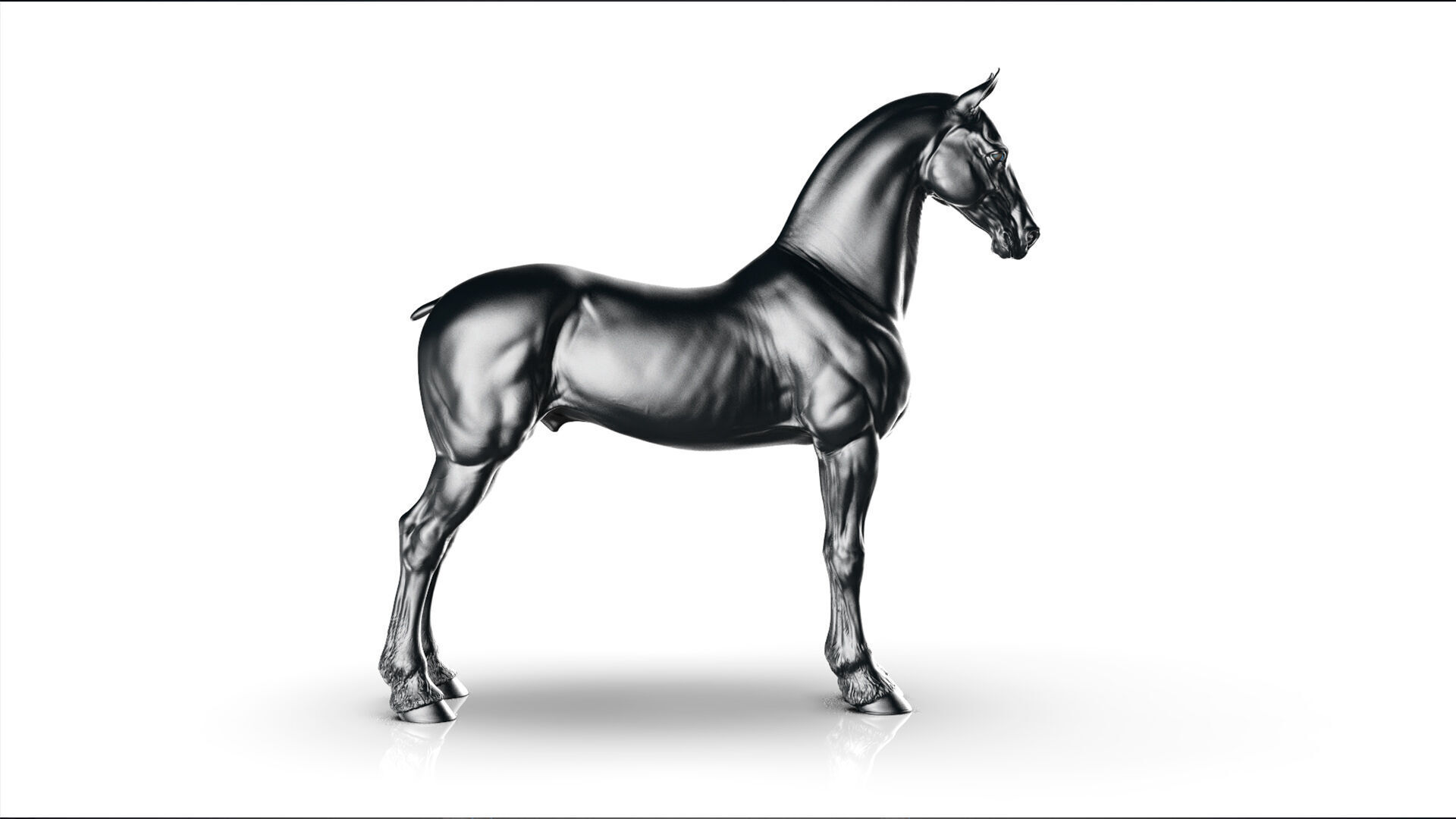 Horse Friesian - TPose 3D model_6