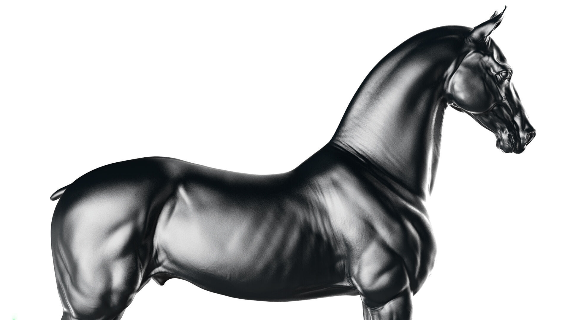 Horse Friesian - TPose 3D model_10