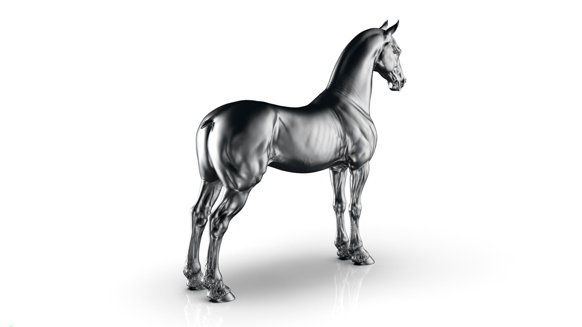 Horse Friesian - TPose 3D model_8