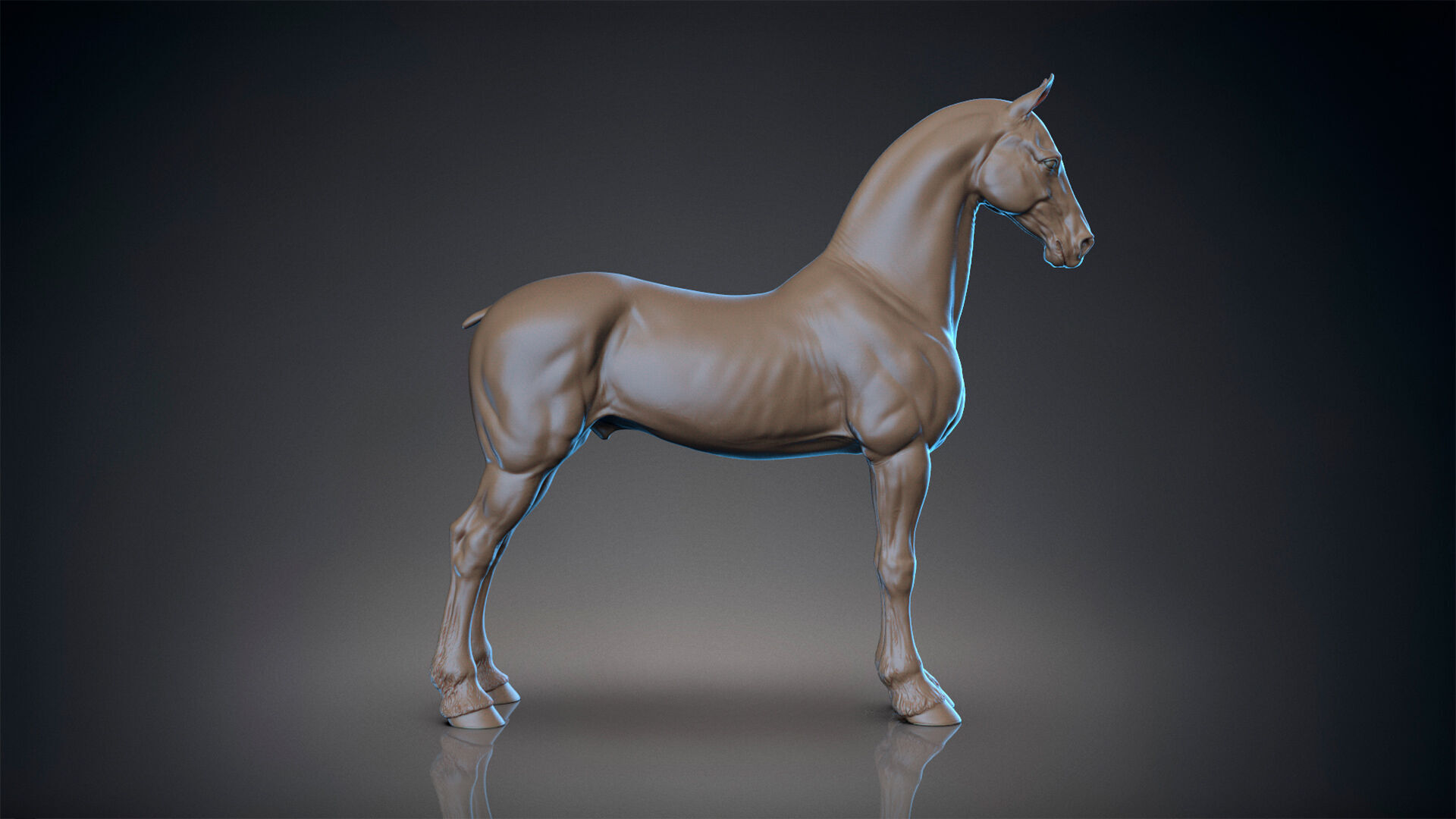 Horse Friesian - TPose 3D model_2