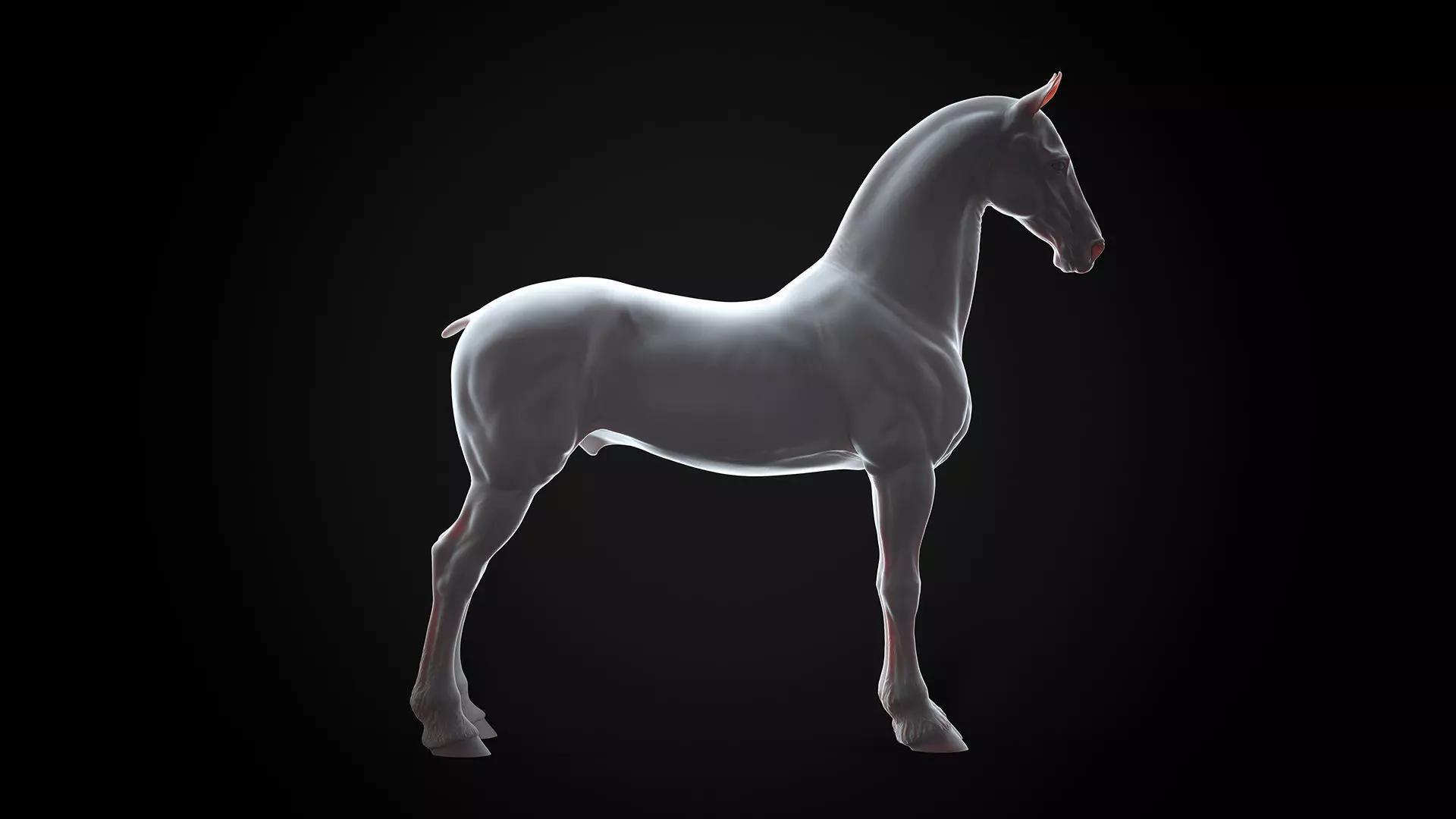Horse Friesian - TPose 3D model_0