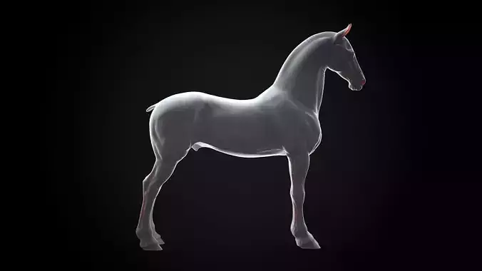 Horse Friesian - TPose 3D model