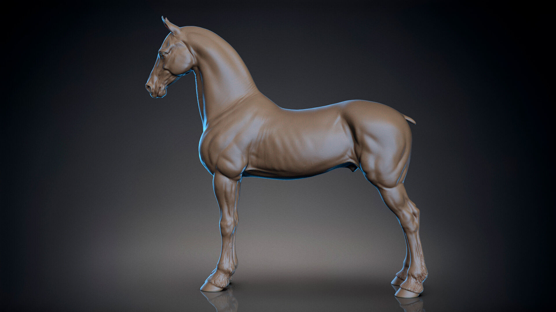 Horse Friesian - TPose 3D model_3
