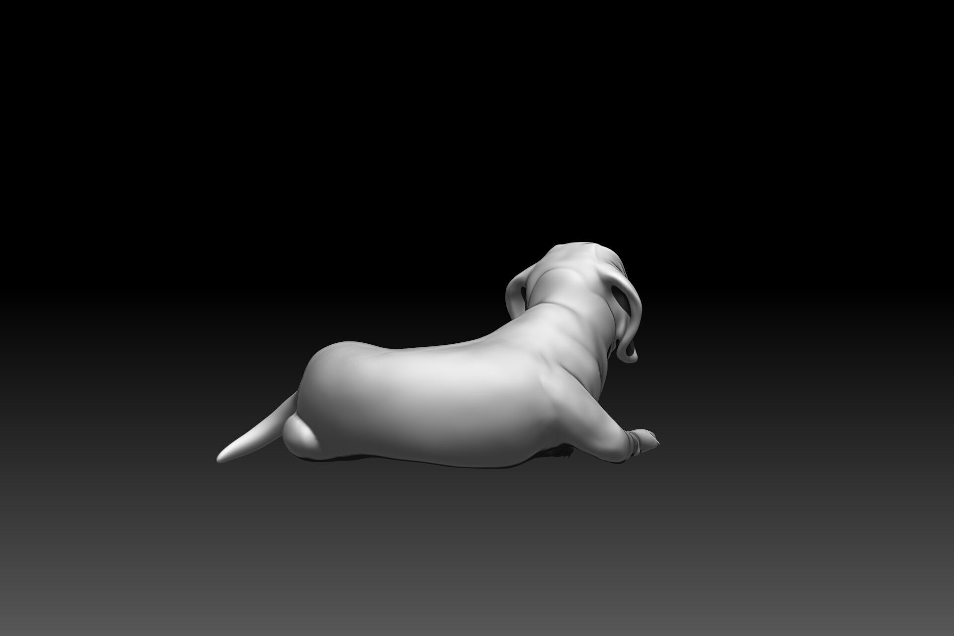 Beaglier Dog 3D Printable Digital Model 3D print model_4