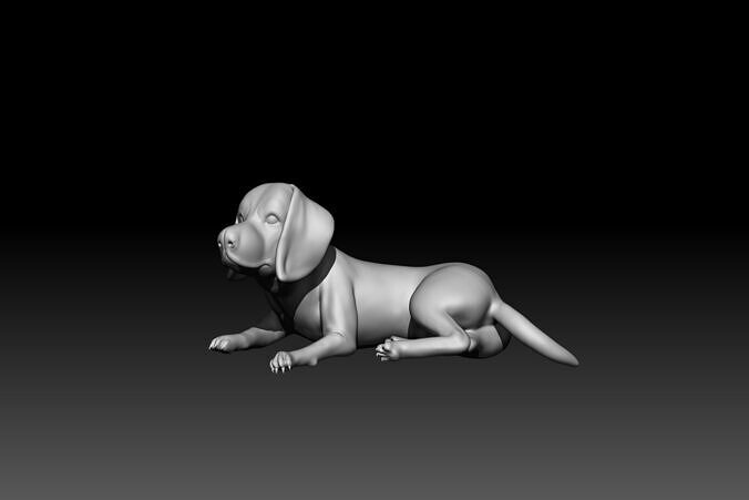 Beaglier Dog 3D Printable Digital Model 3D print model