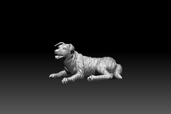 Border Collie Dog 3D Printable Digital Model 3D print model