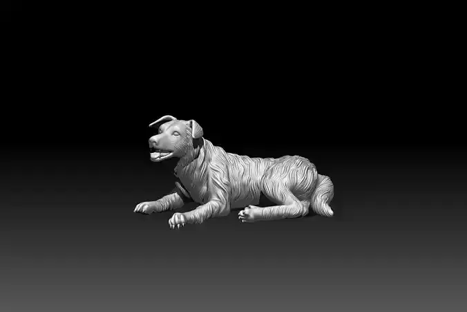 Border Collie Dog 3D Printable Digital Model