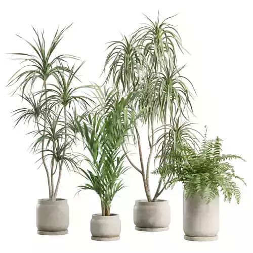 Indoor Plants Pack 90