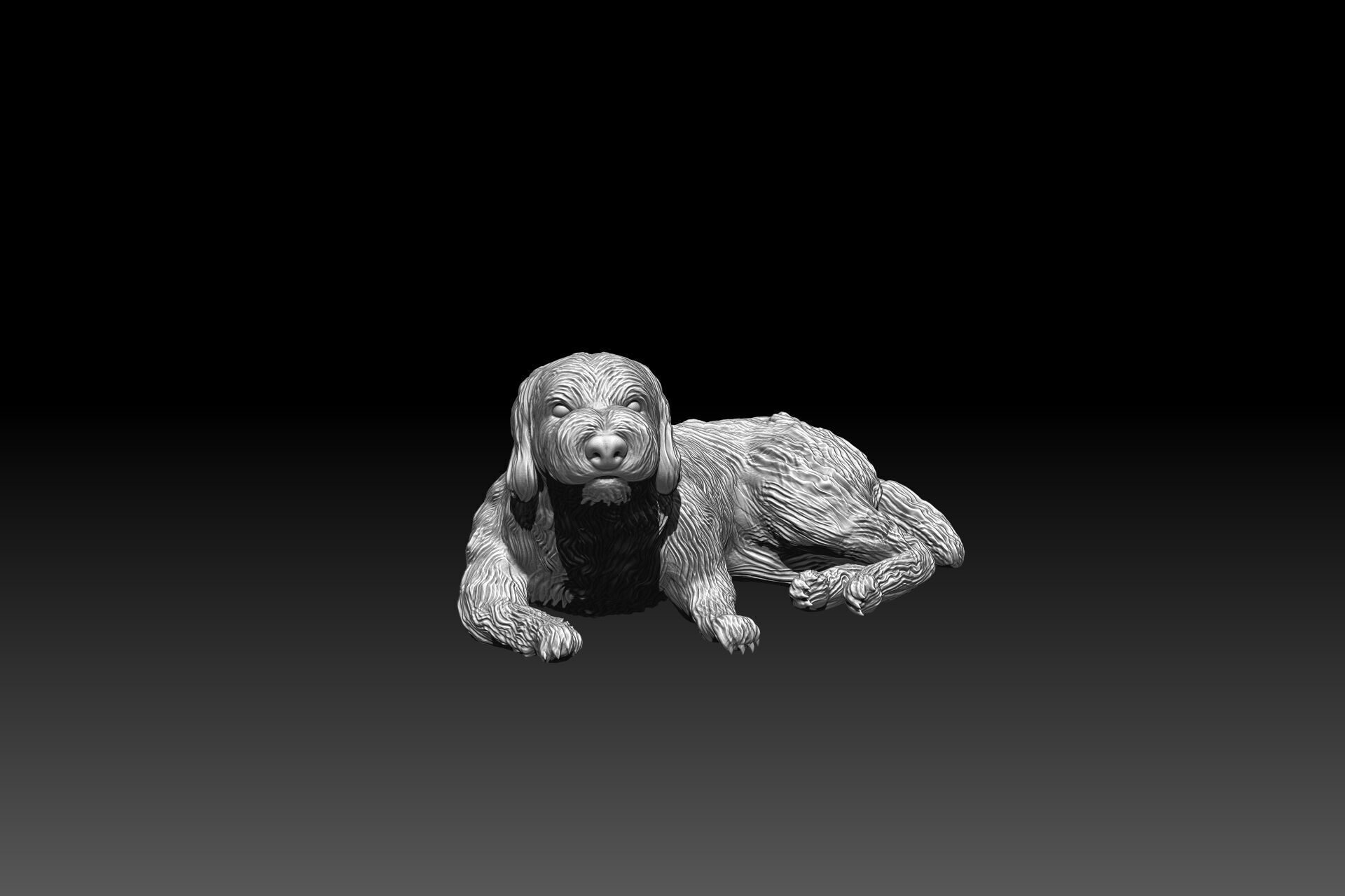 3D printable Labradoodle dog 3D print model_1