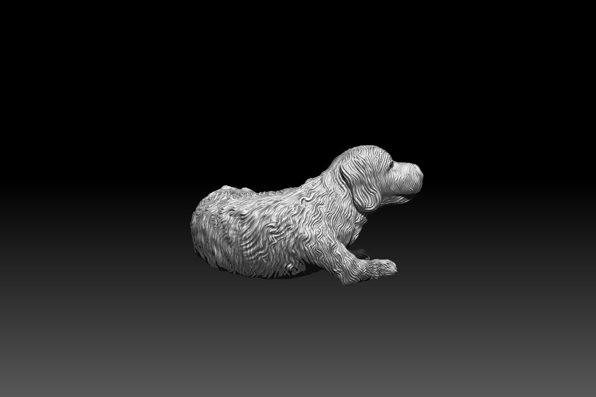 3D printable Labradoodle dog 3D print model_2