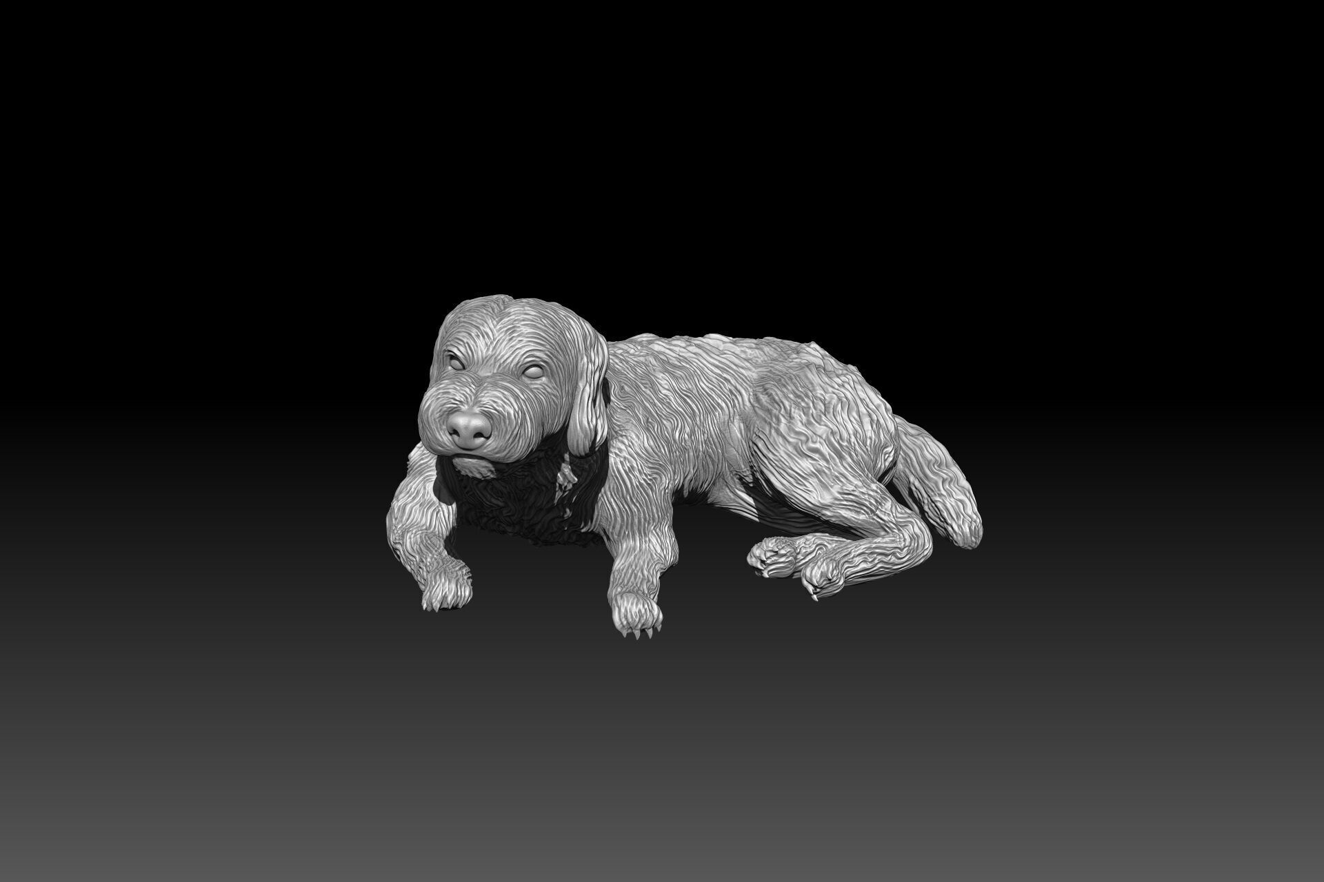 3D printable Labradoodle dog 3D print model_4