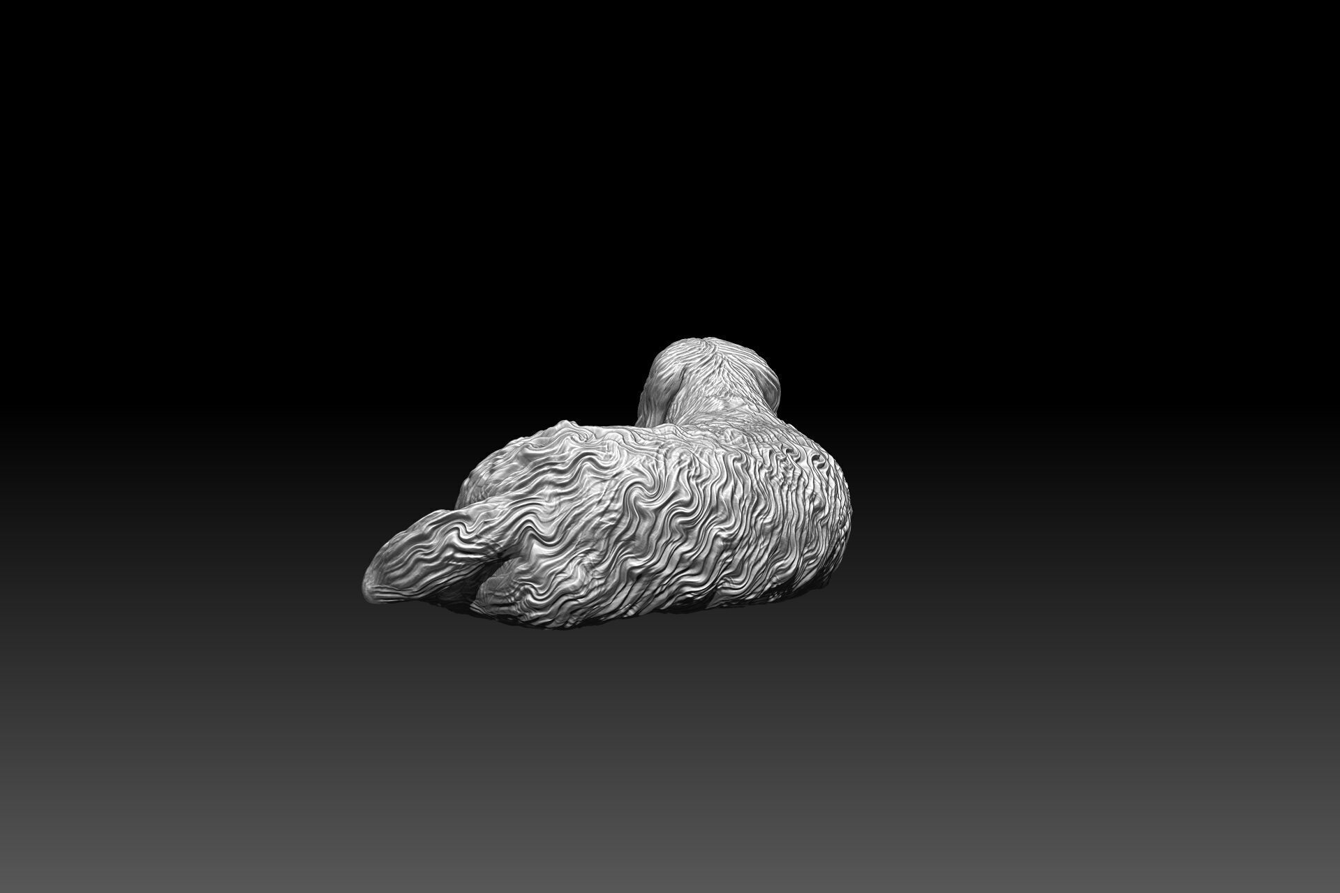 3D printable Labradoodle dog 3D print model_3
