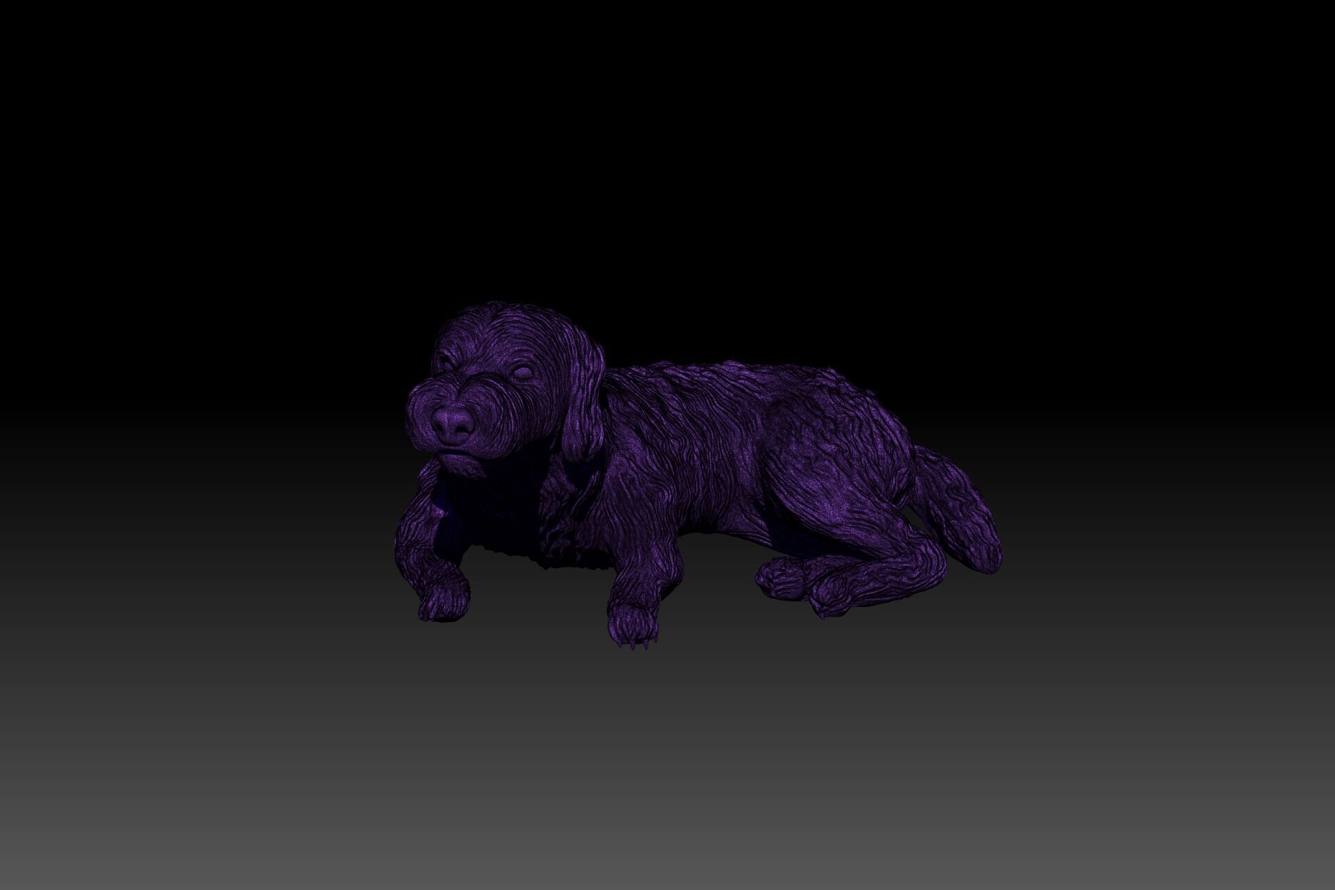 3D printable Labradoodle dog 3D print model_5