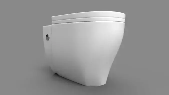 Toilet Bowl CG1
