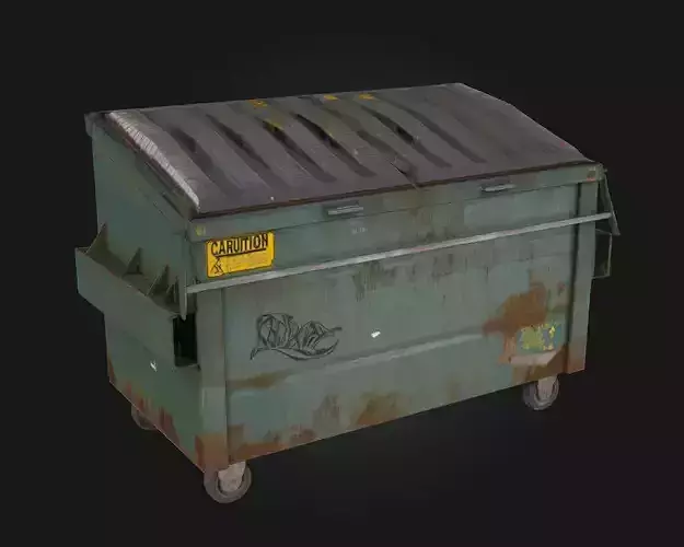 Rusty Green Dumpster  Urban Decay in Grimy Detail