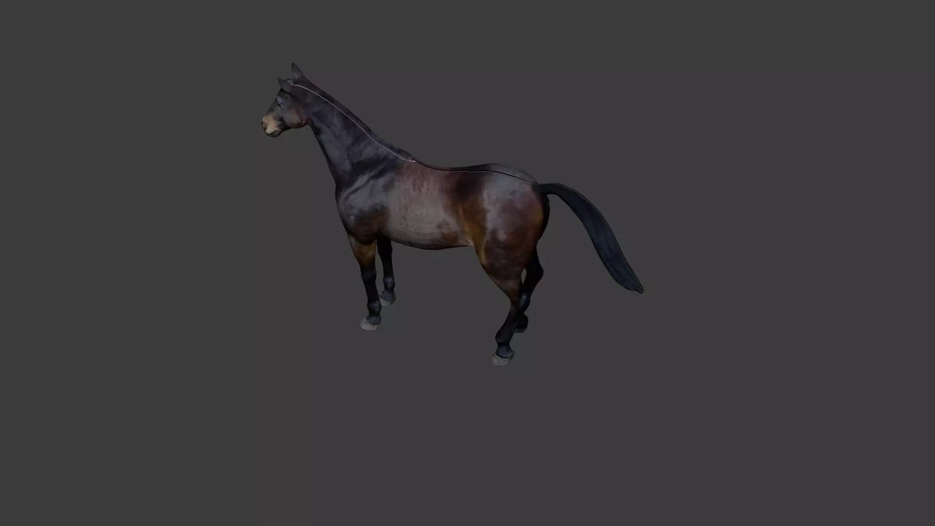 Horse Free 3D model