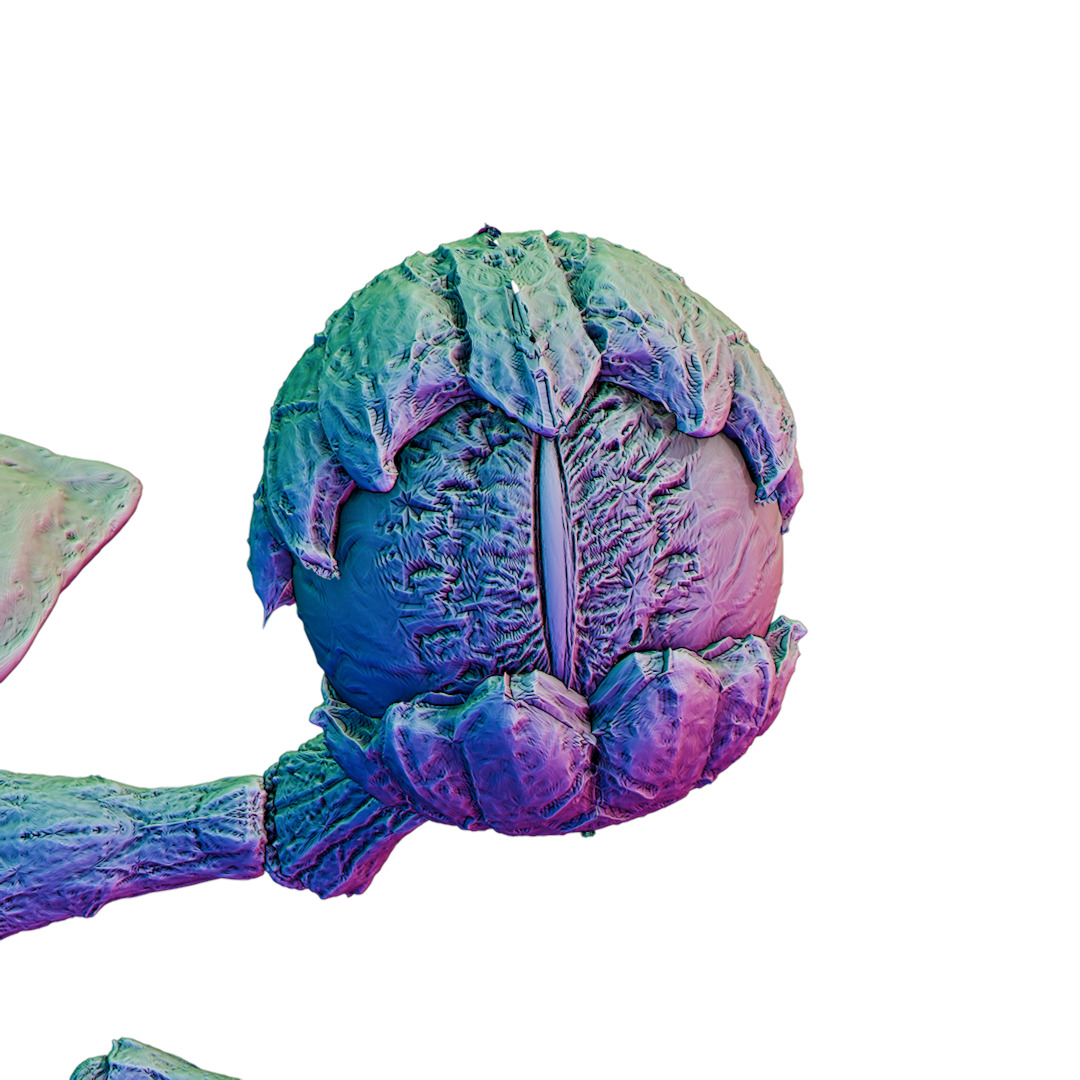 Grotesque Beholder - Monstrous Horror 3D Printable Miniature 3D print model_4