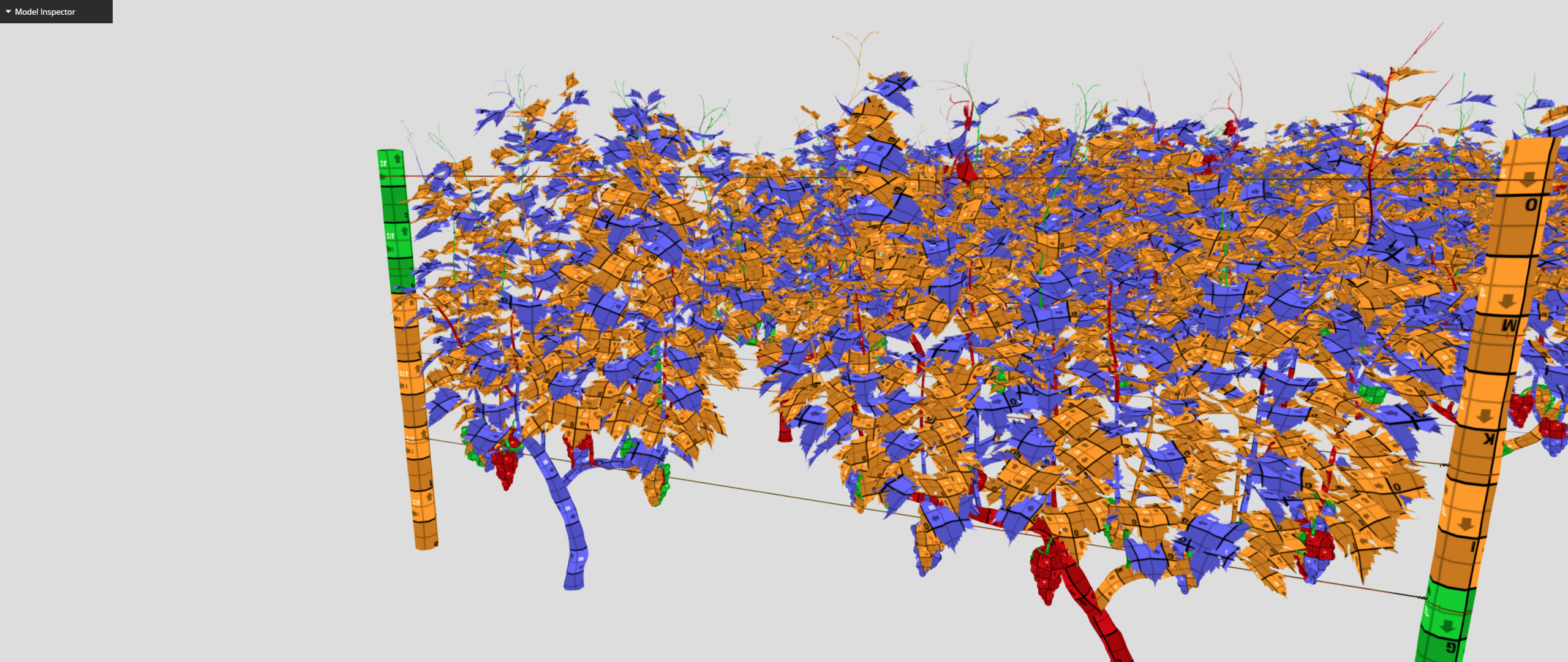 Large vineyard 3D model_20