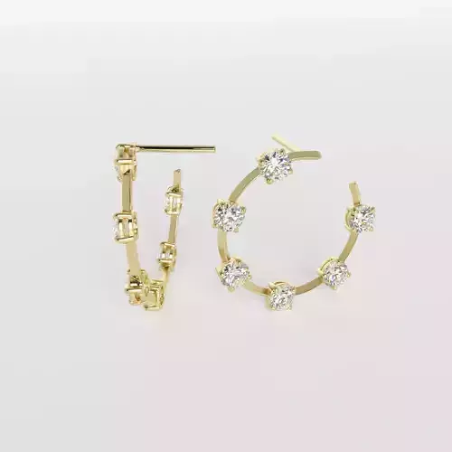Earrings set 5442