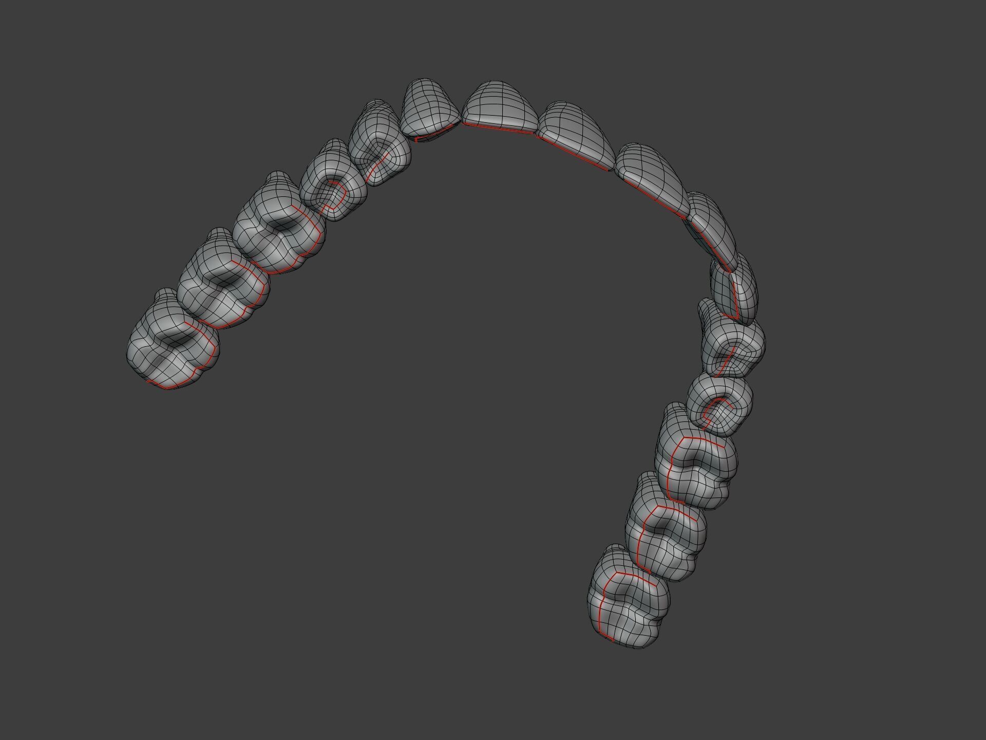 Correct Human Teeth Anatomy -- Scientifically Precise Structure Low-poly 3D model_12