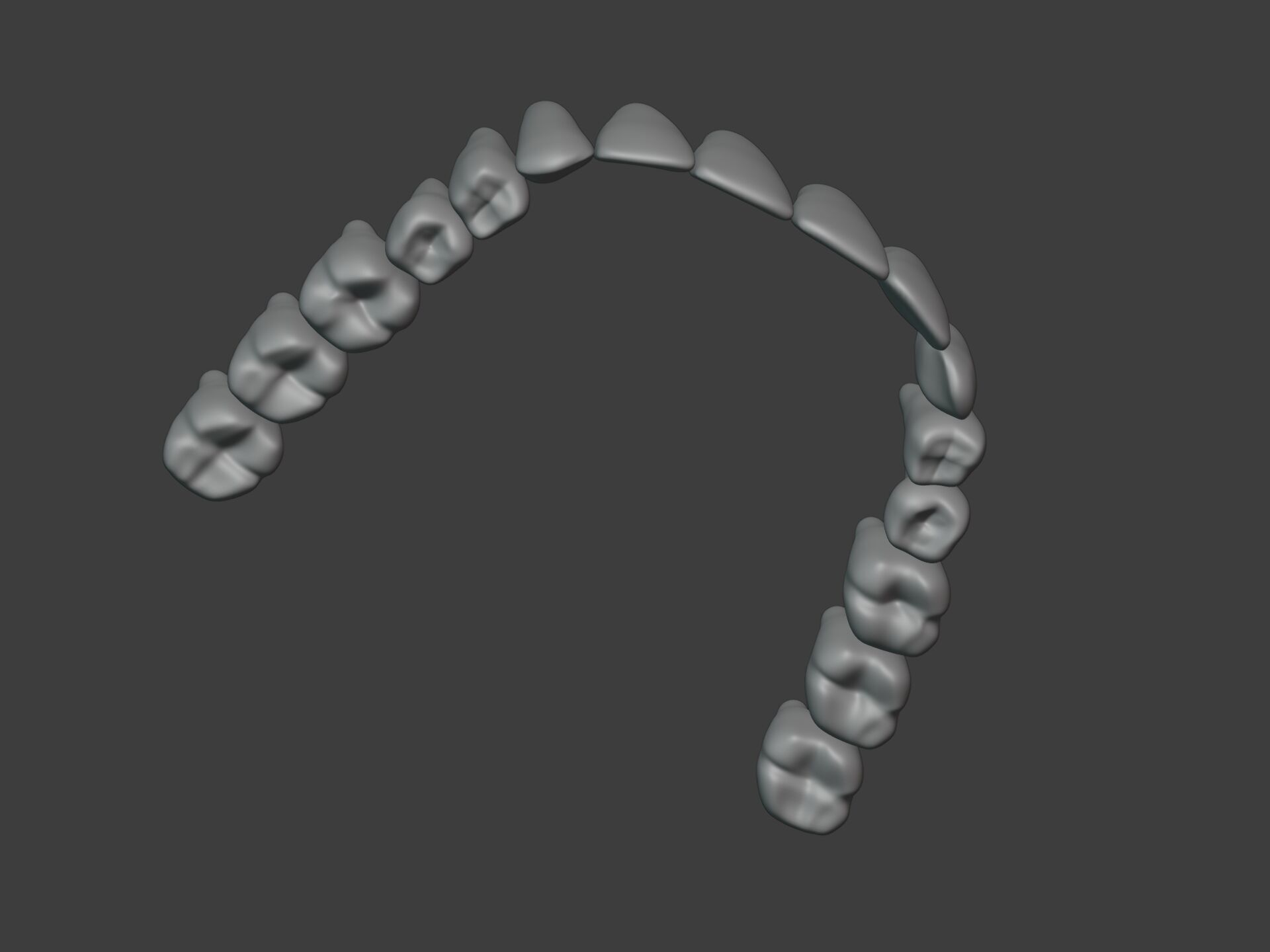 Correct Human Teeth Anatomy -- Scientifically Precise Structure Low-poly 3D model_11