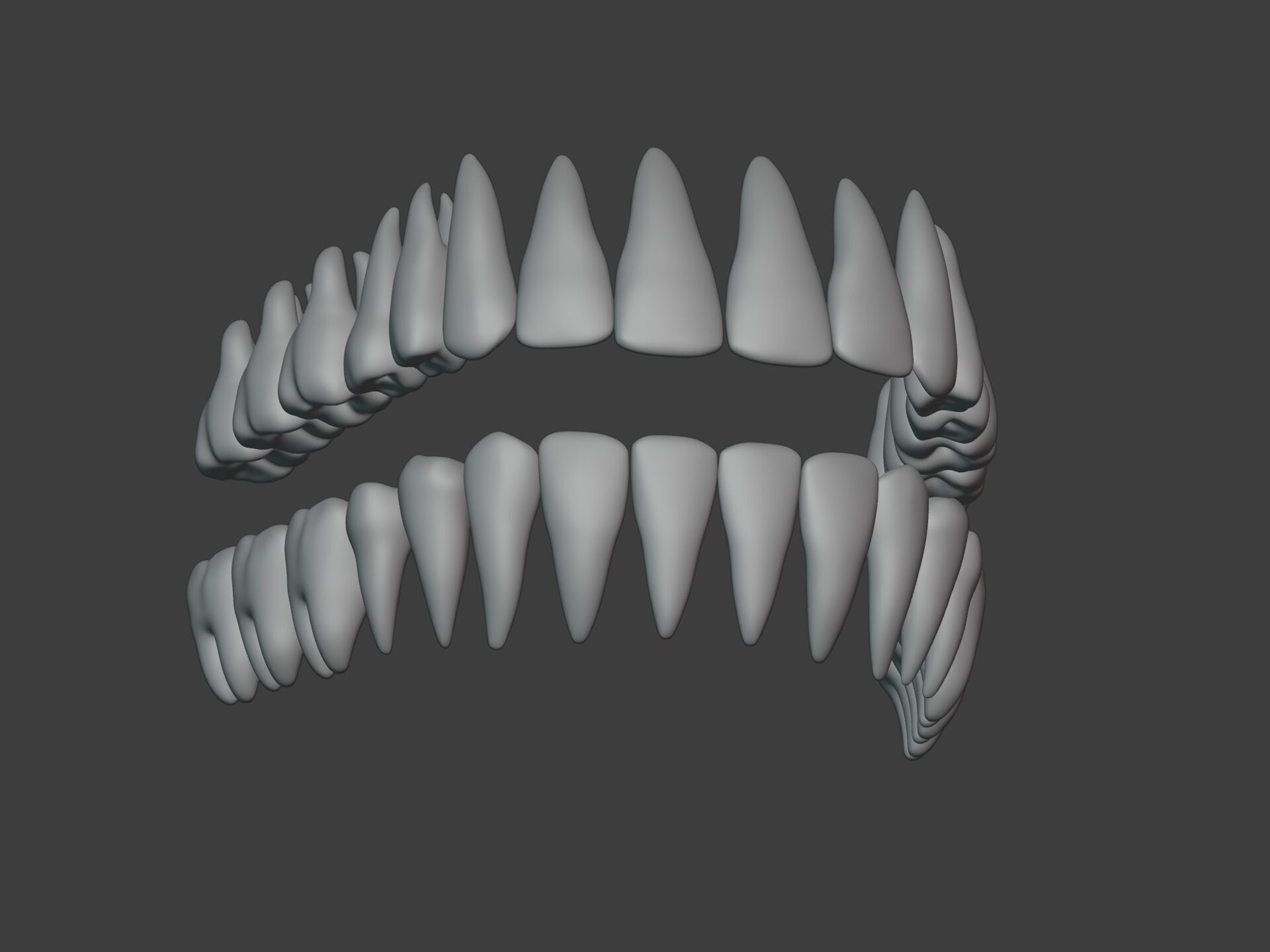 Correct Human Teeth Anatomy -- Scientifically Precise Structure Low-poly 3D model_7