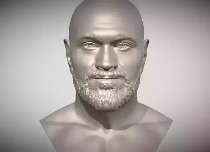 Tyson Fury bust 3D print model