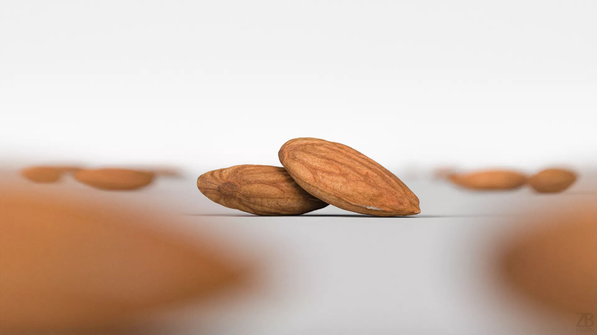 Almond 3D model_1