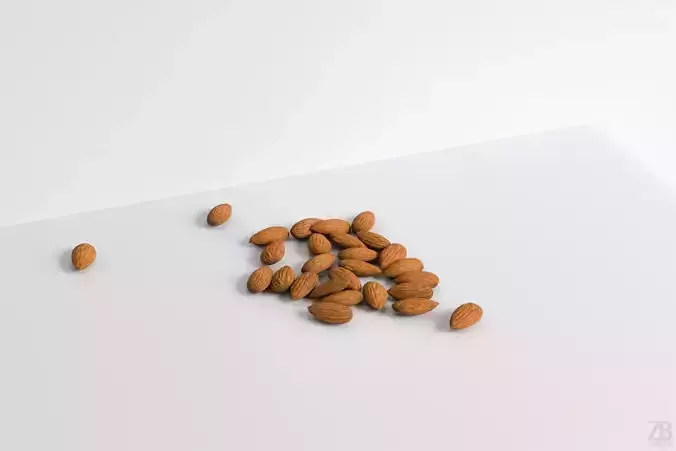 Almond 3D model