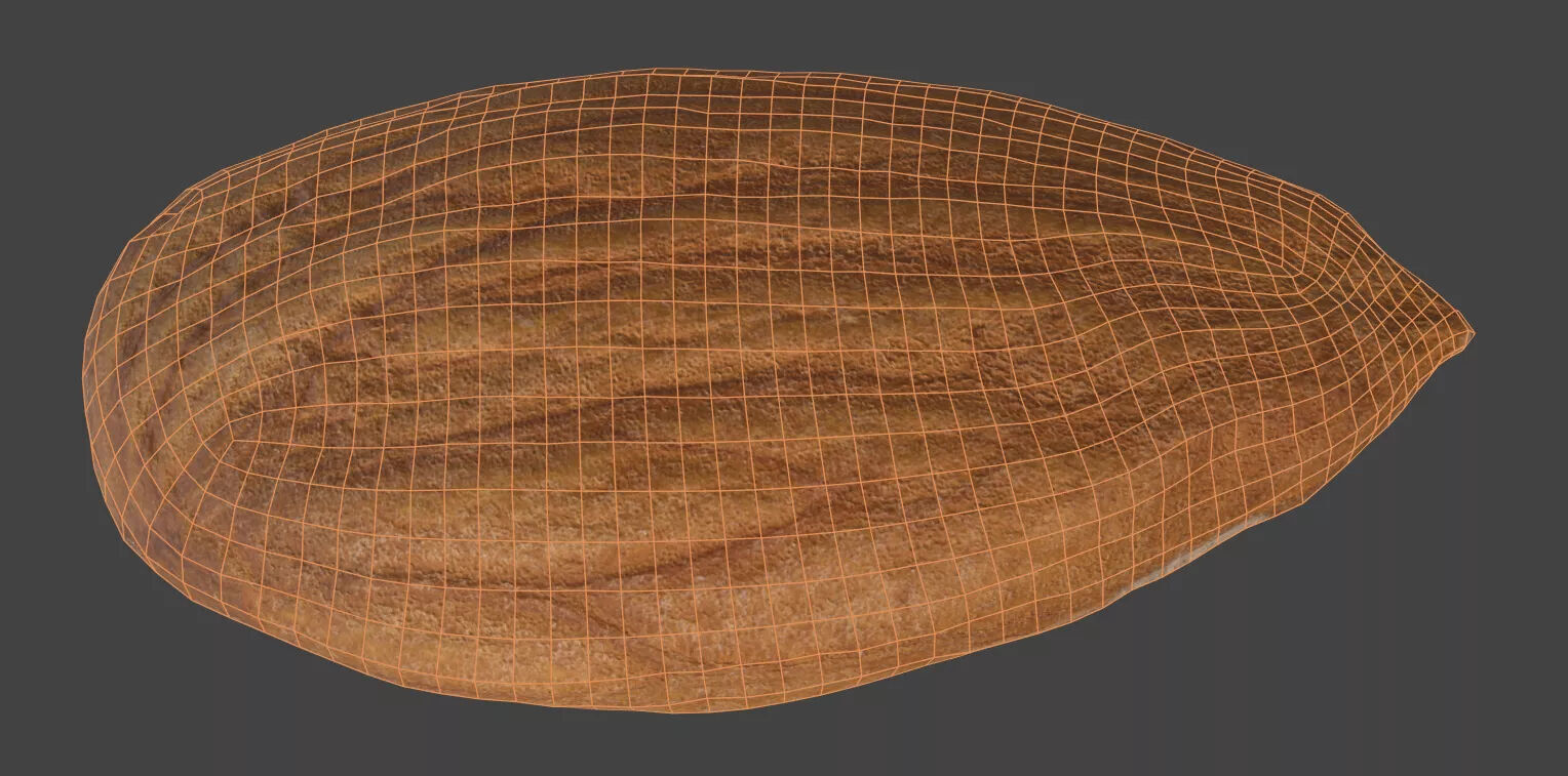 Almond 3D model_6