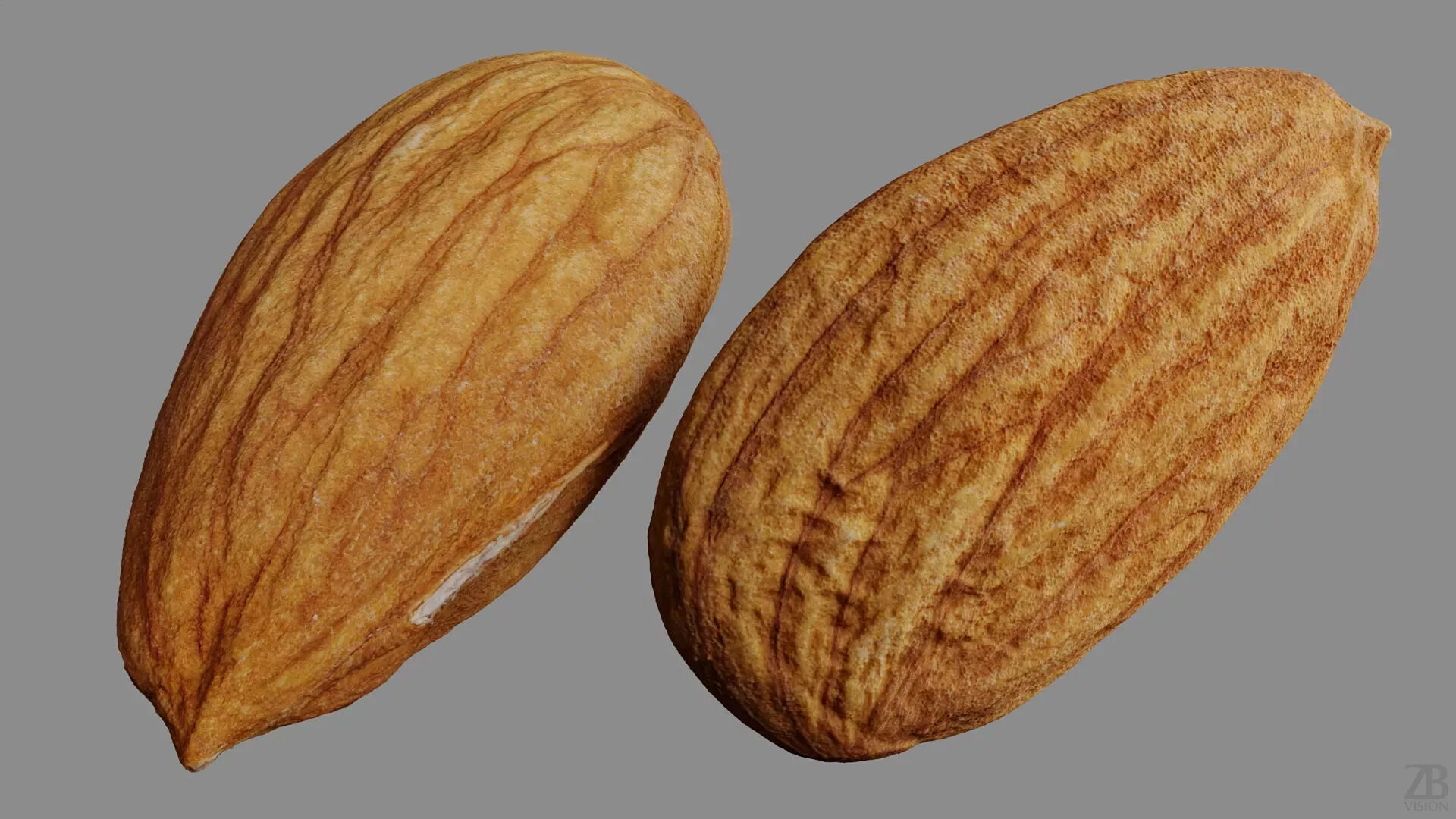Almond 3D model_8
