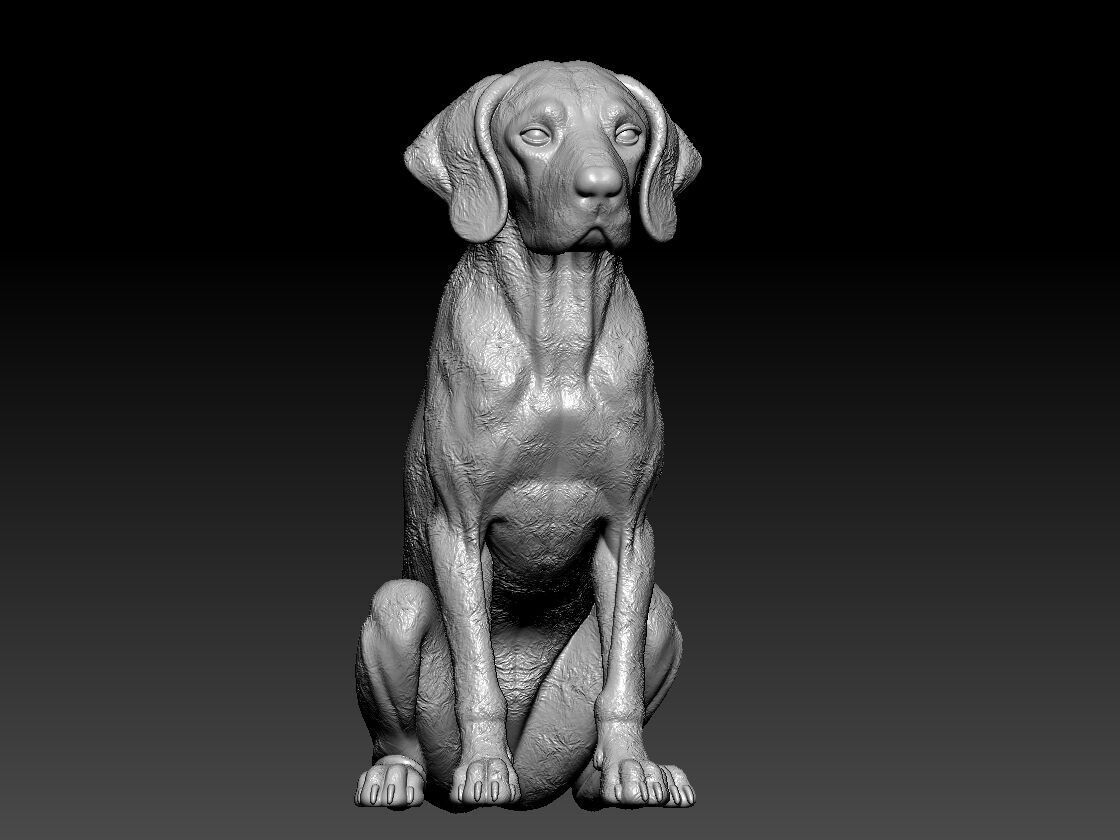 Dog Vizsla - Vizsla Hungary dog model - 3D print 3D print model_1