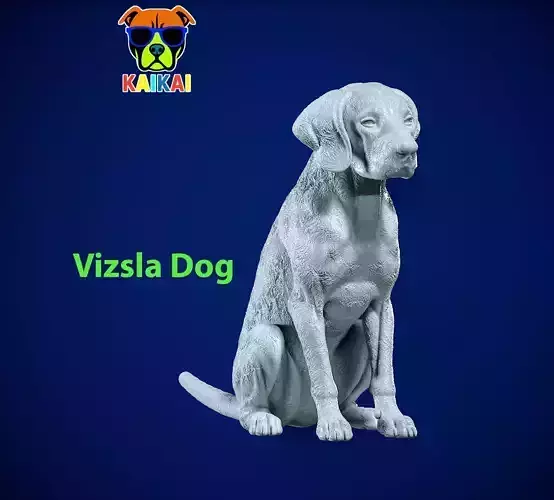 Dog Vizsla - Vizsla Hungary dog model - 3D print