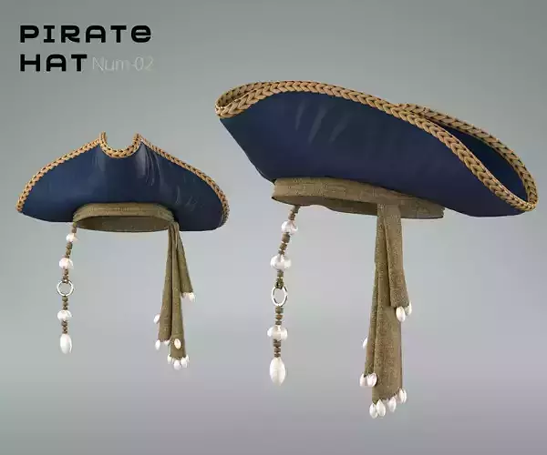 Pirate Hat 02