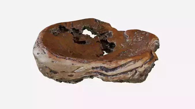 Wooden Bowl