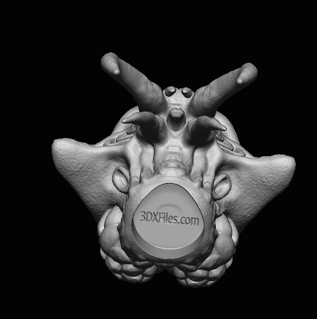 Quarren Headsculpt - Prequel Era - Star wars Action Figure 3D print model_1