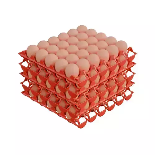 Egg Plastic Tray