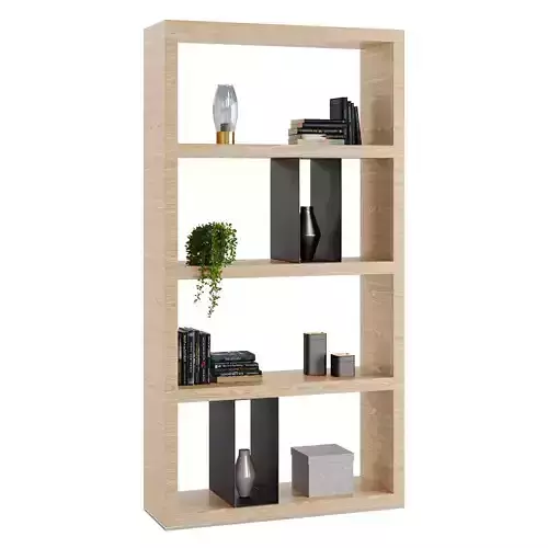 Flexform Bookshelf Braidense 3D model