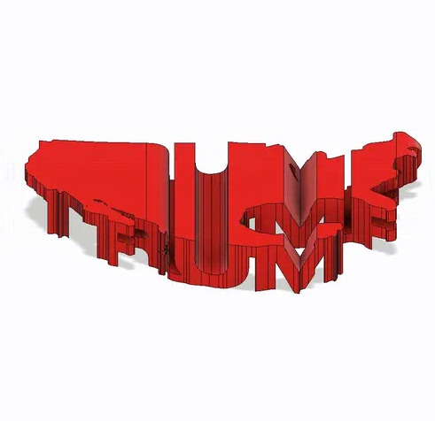 Text Flip - DONALD TRUMP 3D print model_0