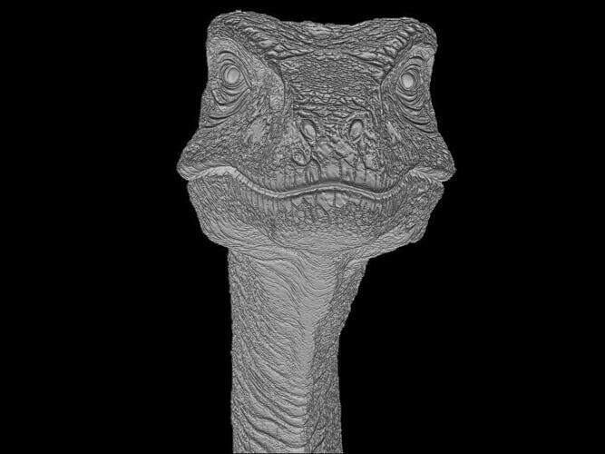 Brachiosaurus dinosaur Head Relief