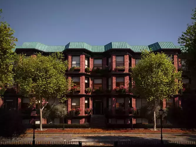 Platanus x hispanica  L 04 London plane Platanaceae