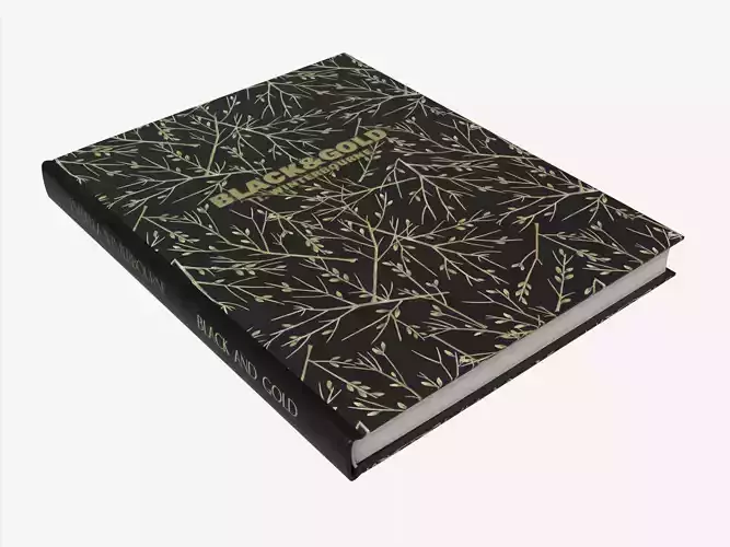 Book Black and Gold