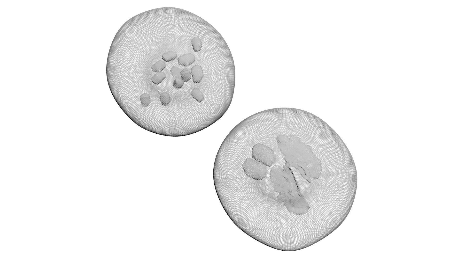 Pkhalis Set 3D model_24