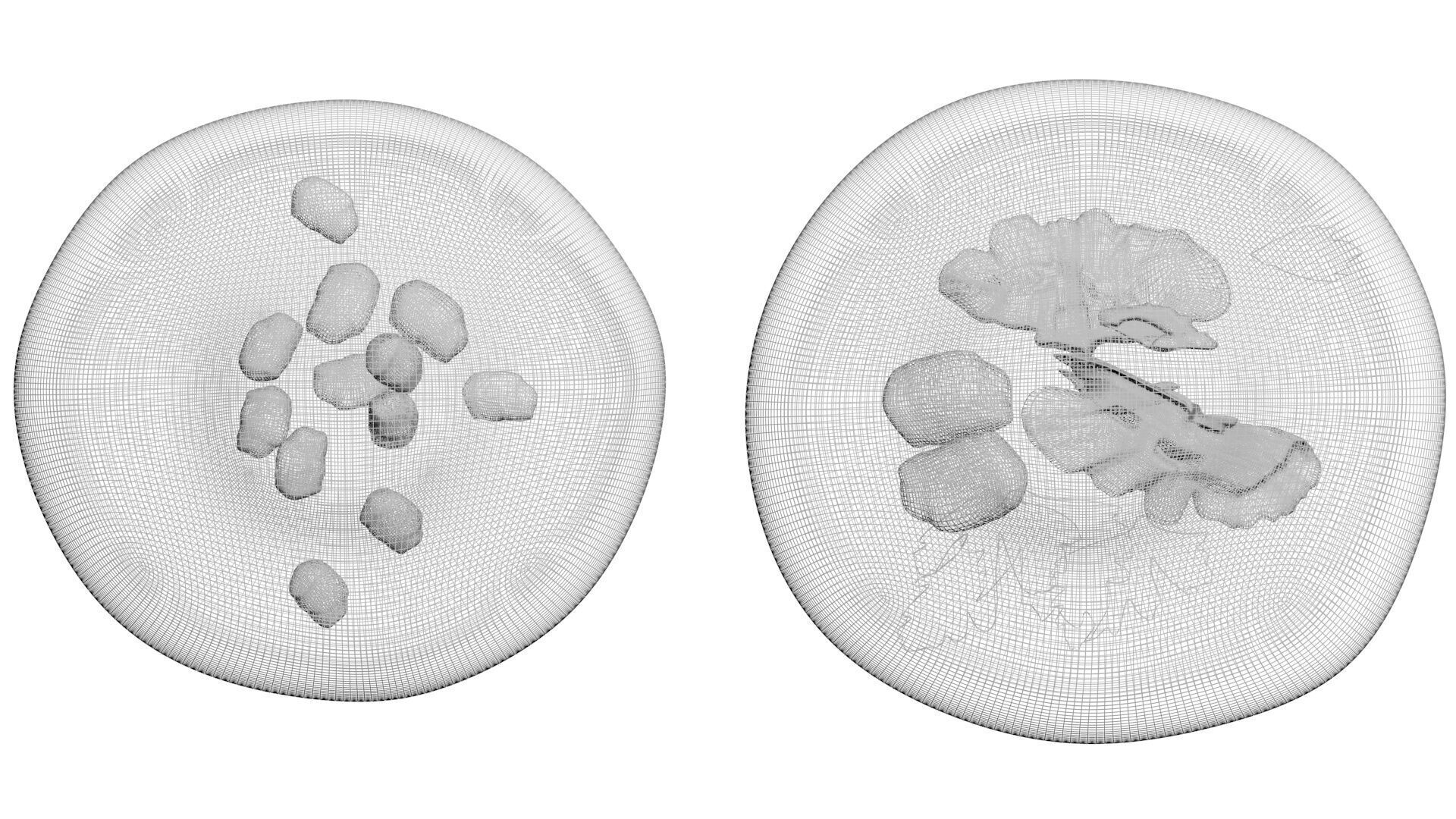 Pkhalis Set 3D model_29