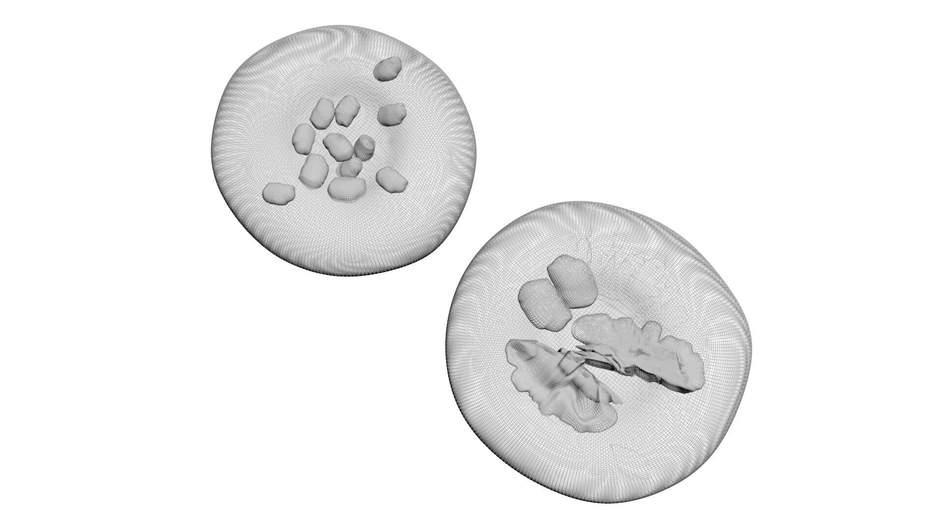 Pkhalis Set 3D model_21